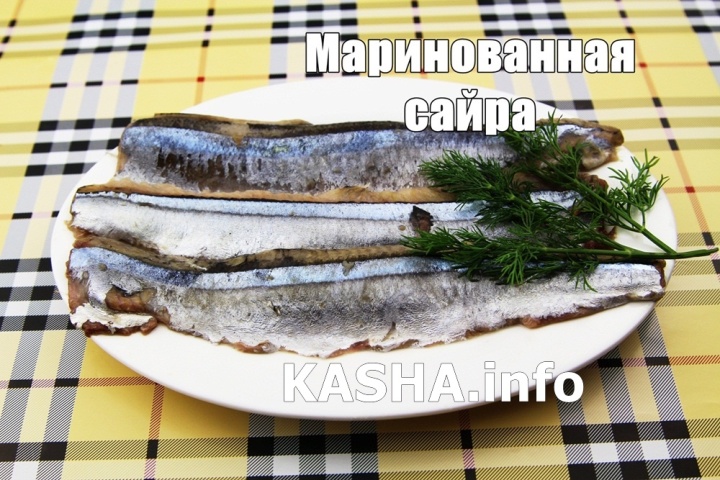 Saury sottaceto